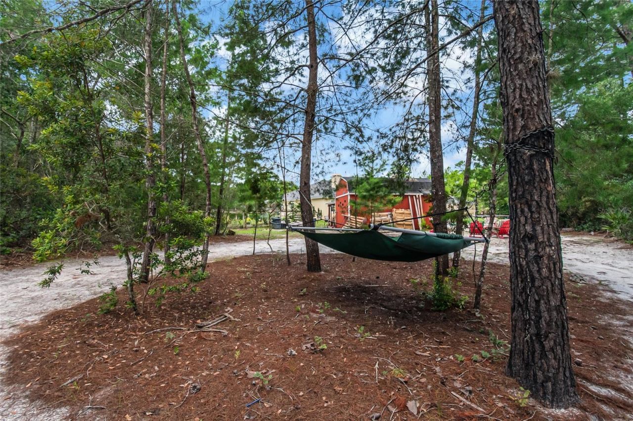 450 Valley Stream Drive, Geneva, FL 32732 Photo