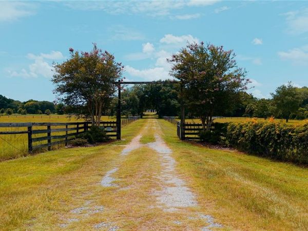 21341 HORSE RANCH ROAD, MOUNT DORA, FL 32757