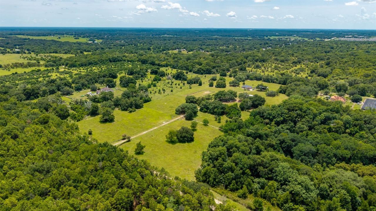 21341 Horse Ranch Road, Mount Dora, FL 32757 Photo