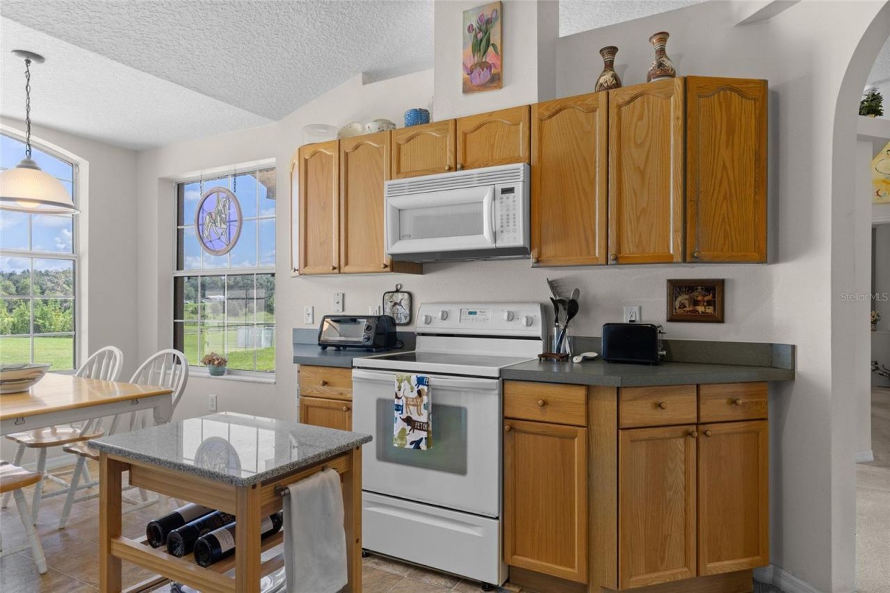 21341 Horse Ranch Road, Mount Dora, FL 32757 Photo