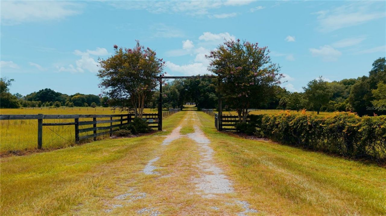 21341 Horse Ranch Road, Mount Dora, FL 32757 Photo