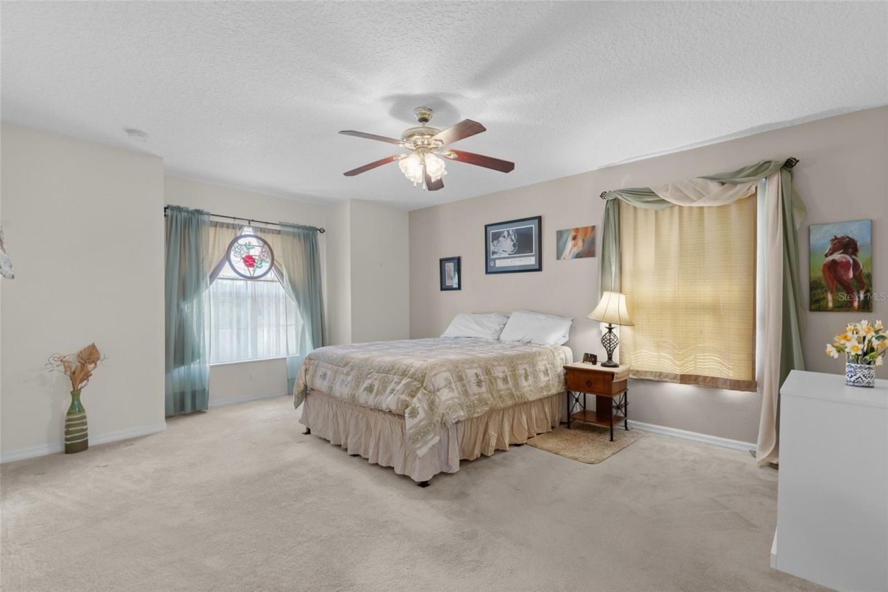 21341 Horse Ranch Road, Mount Dora, FL 32757 Photo