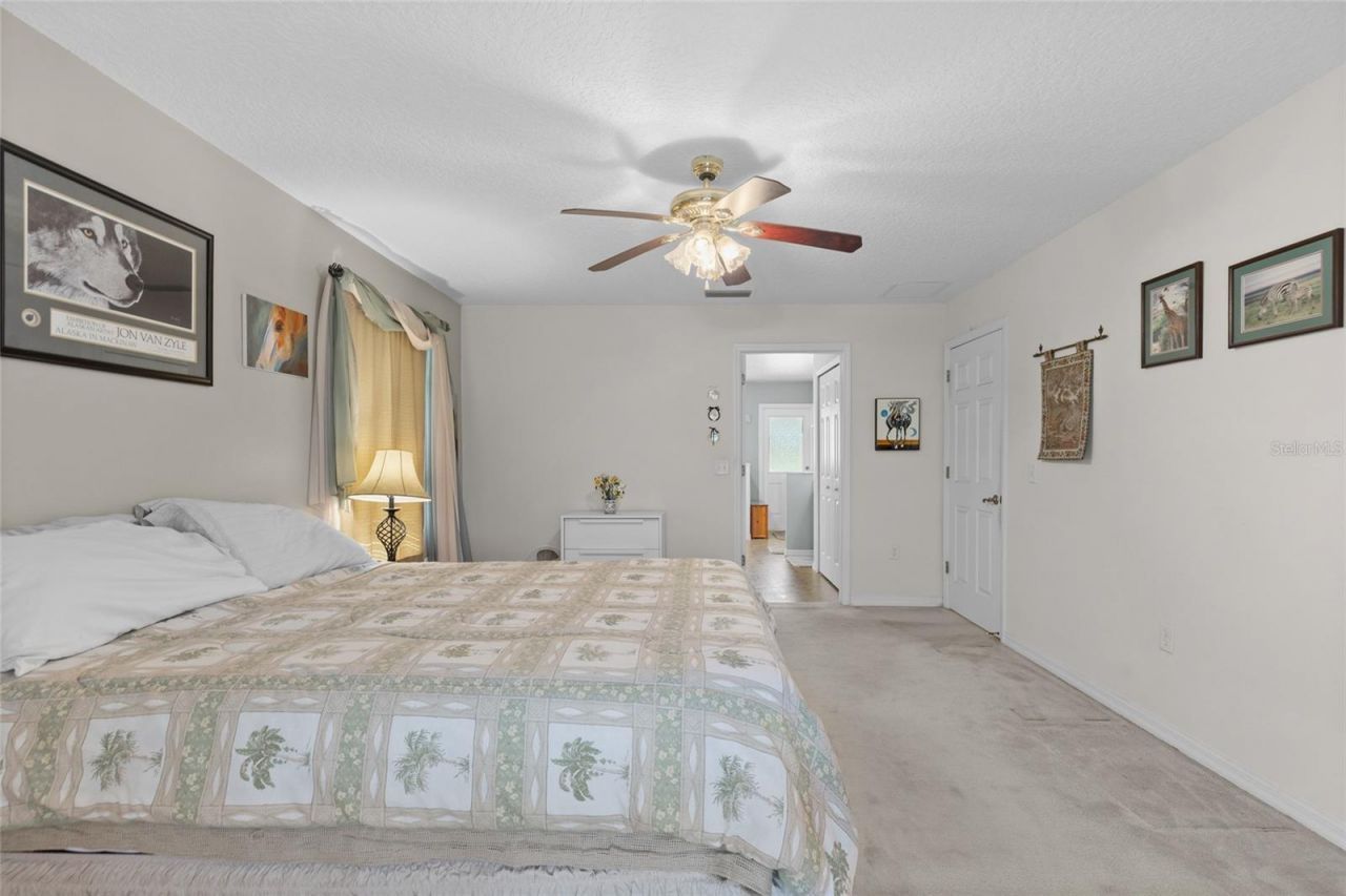 21341 Horse Ranch Road, Mount Dora, FL 32757 Photo