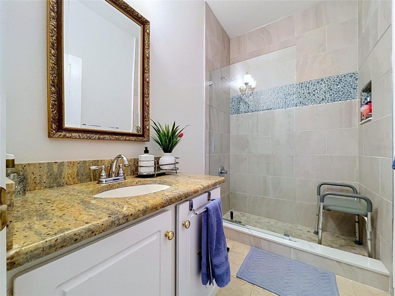 27544 Breakers Drive , Wesley Chapel, FL 33544 Photo