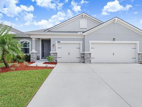 11520 BLUE WOODS DRIVE , RIVERVIEW, FL 33569
