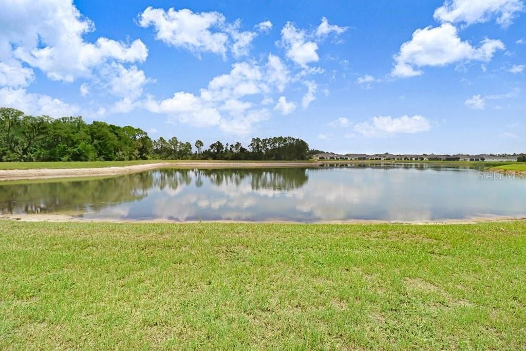 11520 Blue Woods Drive , Riverview, FL 33569 Photo