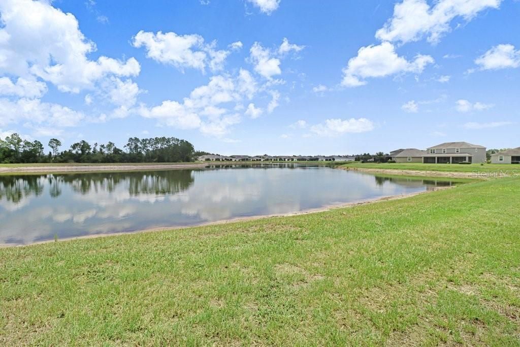 11520 Blue Woods Drive , Riverview, FL 33569 Photo