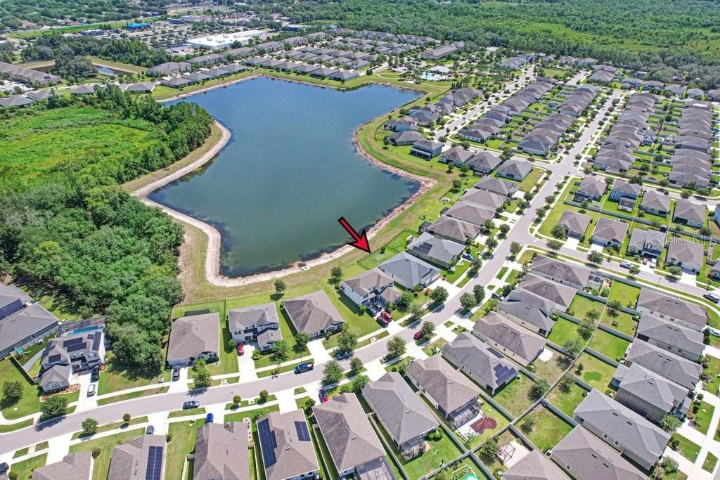 11520 Blue Woods Drive , Riverview, FL 33569 Photo