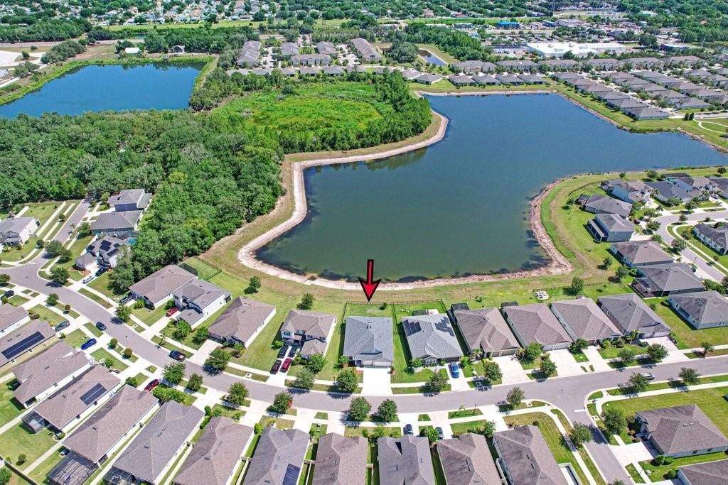 11520 Blue Woods Drive , Riverview, FL 33569 Photo