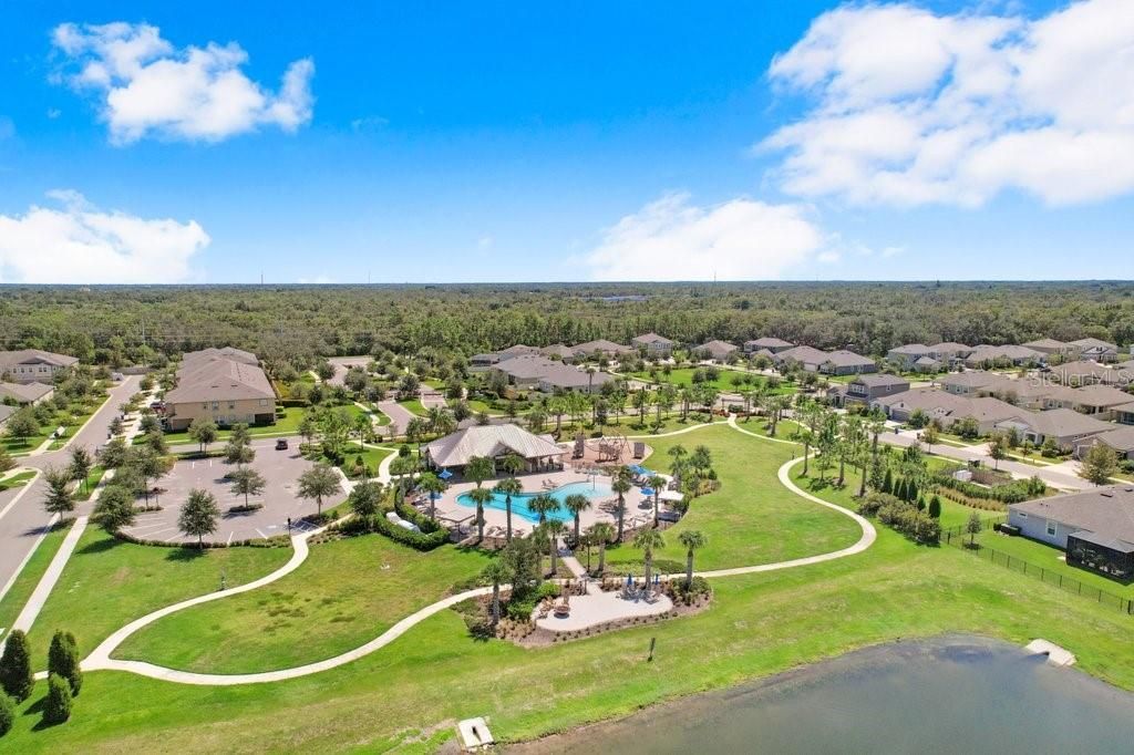 11520 Blue Woods Drive , Riverview, FL 33569 Photo