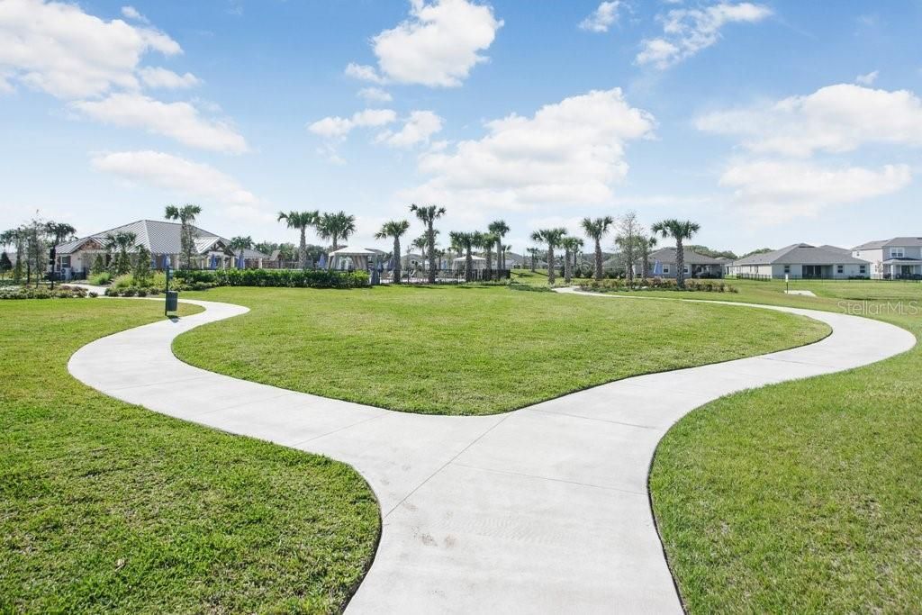 11520 Blue Woods Drive , Riverview, FL 33569 Photo
