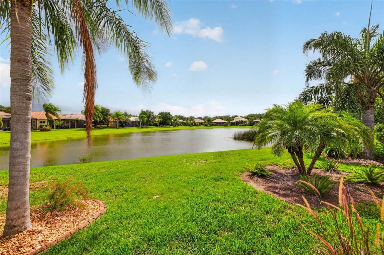 15929 Golden Lakes Drive , Wimauma, FL 33598 Photo