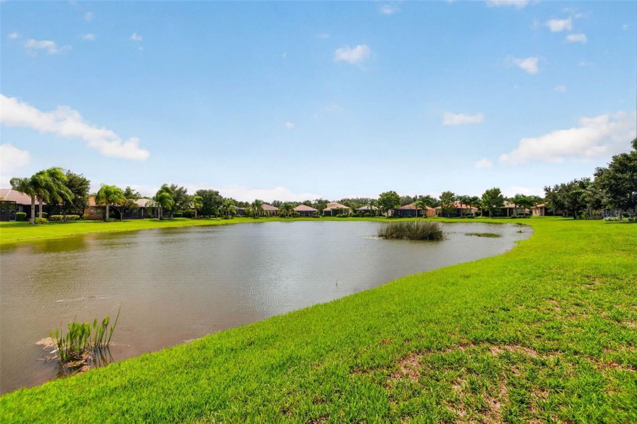 15929 Golden Lakes Drive , Wimauma, FL 33598 Photo