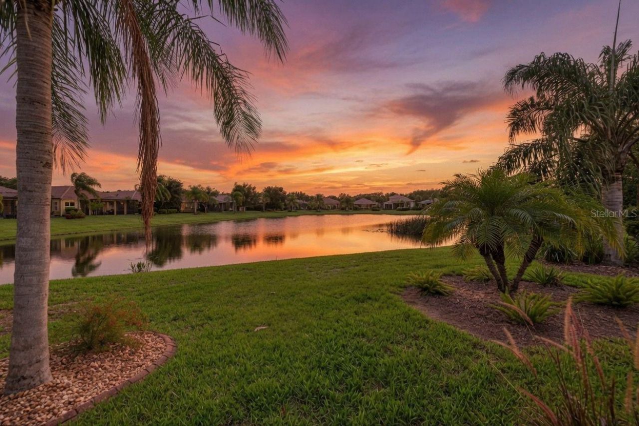 15929 Golden Lakes Drive , Wimauma, FL 33598 Photo