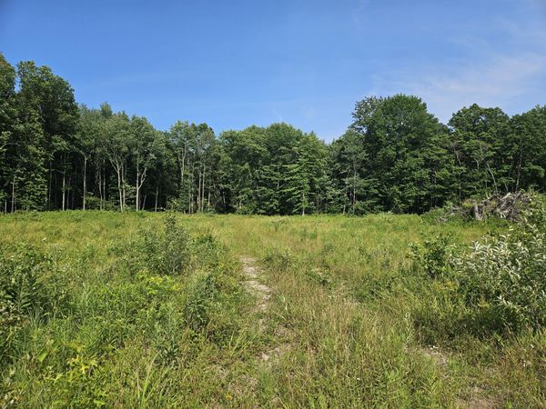 V/L 54th Street, Fennville, MI 49408