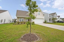 418 Avocet Drive photo 4