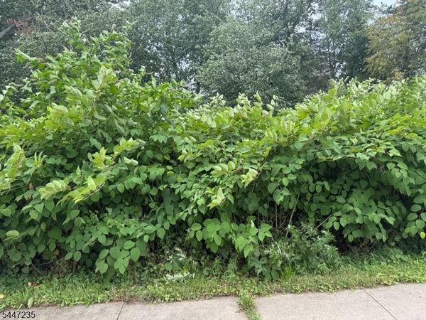 1110 Walnut St, Piscataway, NJ 08854