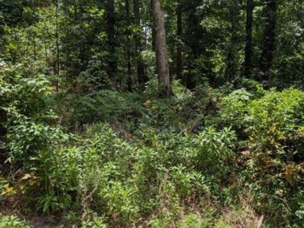 Buckden Lane , Bella Vista, AR 72715
