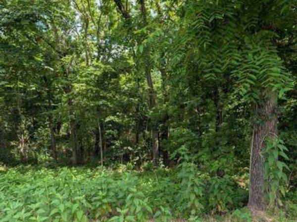 Granshire Circle , Bella Vista, AR 72714