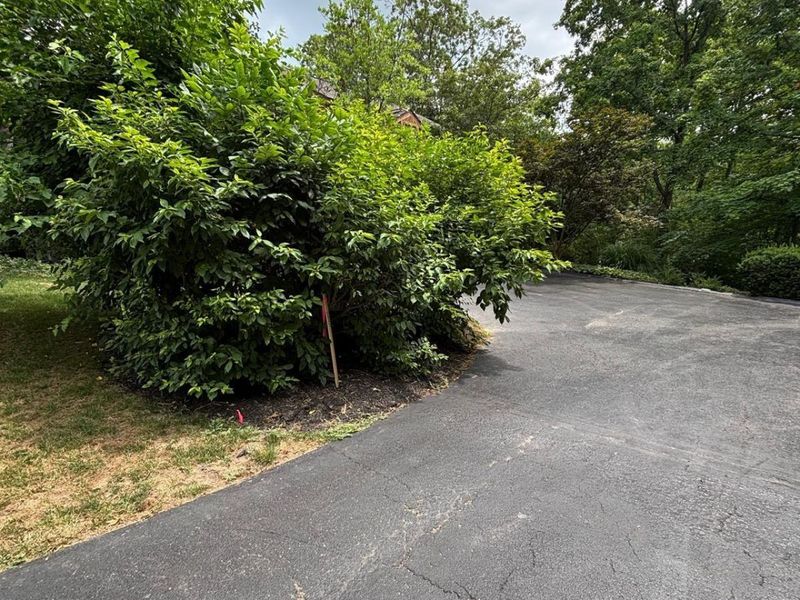 12101 Paulmeadows Drive, Symmes Township, OH 45249 Photo 2