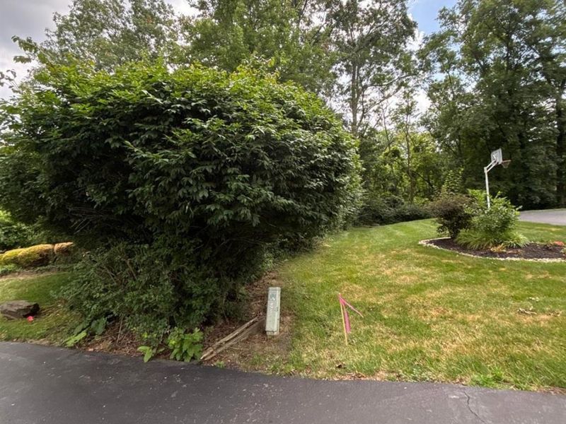 12101 Paulmeadows Drive, Symmes Township, OH 45249 Photo 7