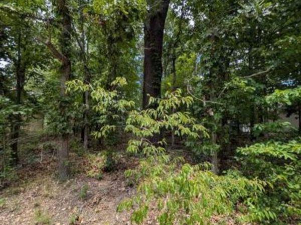 Kirkcolm Lane , Bella Vista, AR 72715