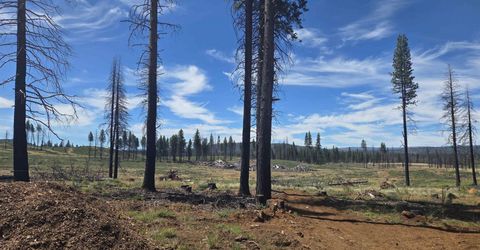 314 Osprey Loop, Lake Almanor, CA 96020 Photo