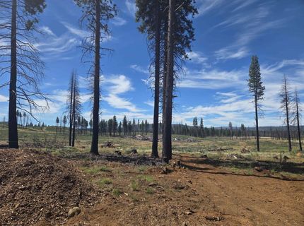 314 Osprey Loop, Lake Almanor, CA 96020 Photo
