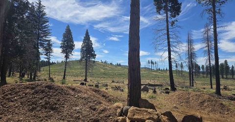 314 Osprey Loop, Lake Almanor, CA 96020 Photo