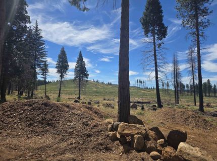 314 Osprey Loop, Lake Almanor, CA 96020 Photo
