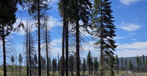 314 Osprey Loop, Lake Almanor, CA 96020 Photo