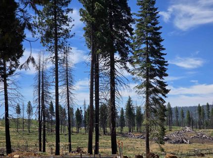 314 Osprey Loop, Lake Almanor, CA 96020 Photo