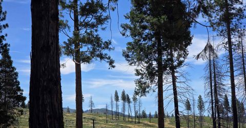 314 Osprey Loop, Lake Almanor, CA 96020 Photo