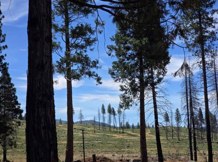 314 Osprey Loop, Lake Almanor, CA 96020 Photo