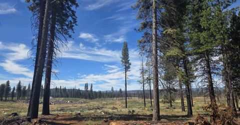 314 Osprey Loop, Lake Almanor, CA 96020 Photo