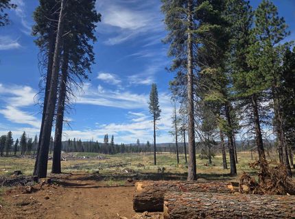 314 Osprey Loop, Lake Almanor, CA 96020 Photo