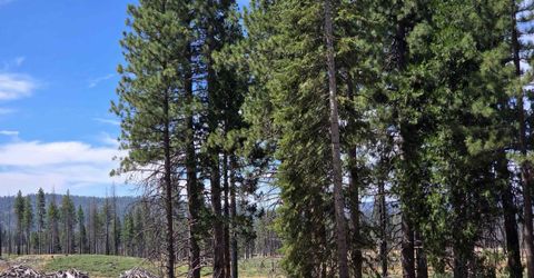 314 Osprey Loop, Lake Almanor, CA 96020 Photo