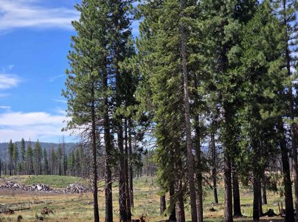 314 Osprey Loop, Lake Almanor, CA 96020 Photo