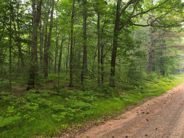 TBD N Loop Road , Drummond, WI 54832