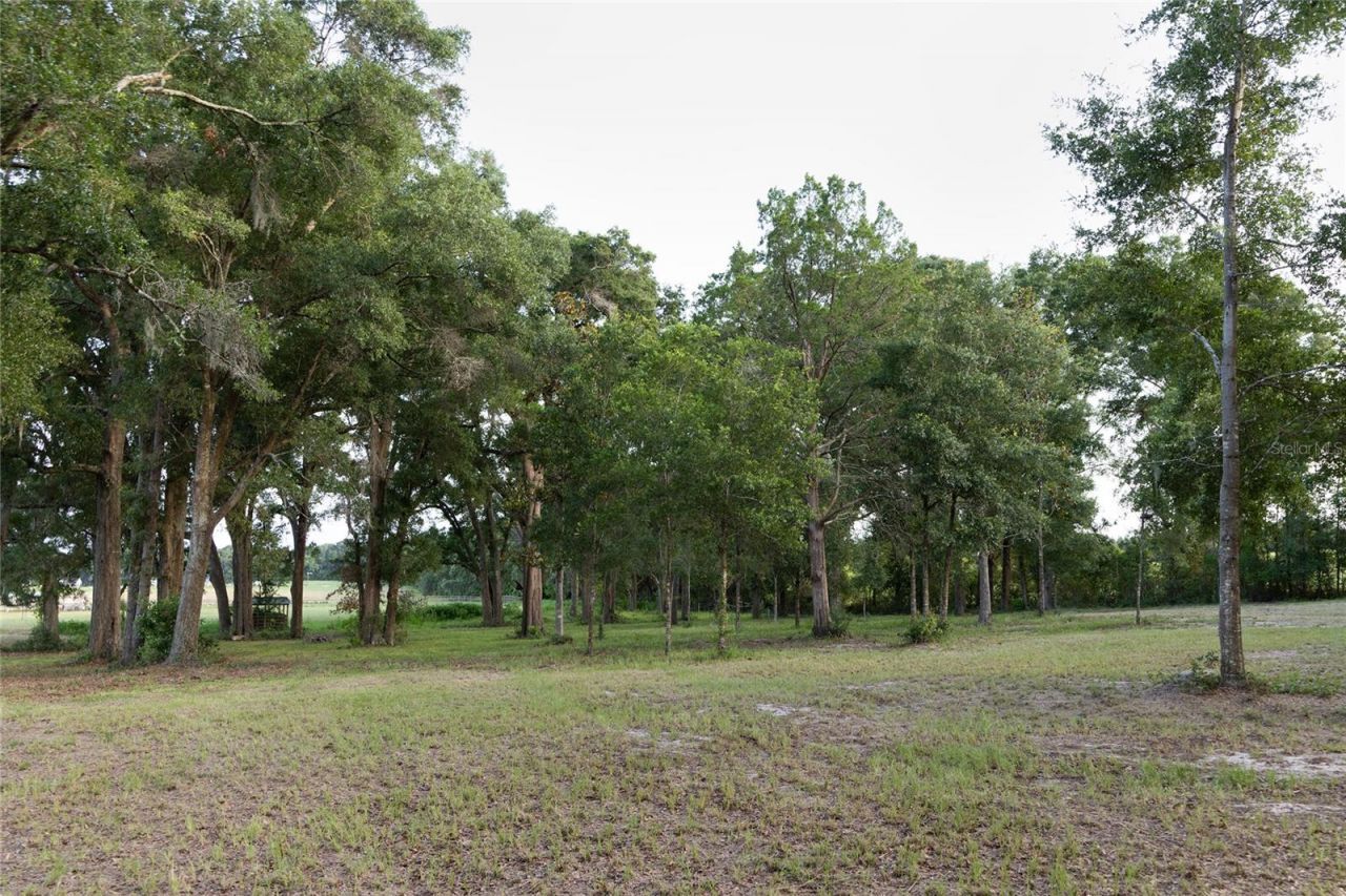 3705 NW 31st Avenue , Bell, FL 32619 Photo