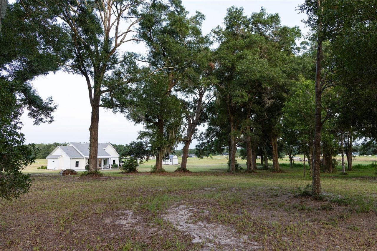 3705 NW 31st Avenue , Bell, FL 32619 Photo