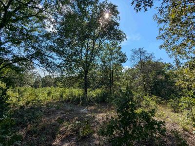 Hound Hollow Road, Camden, SC 29020