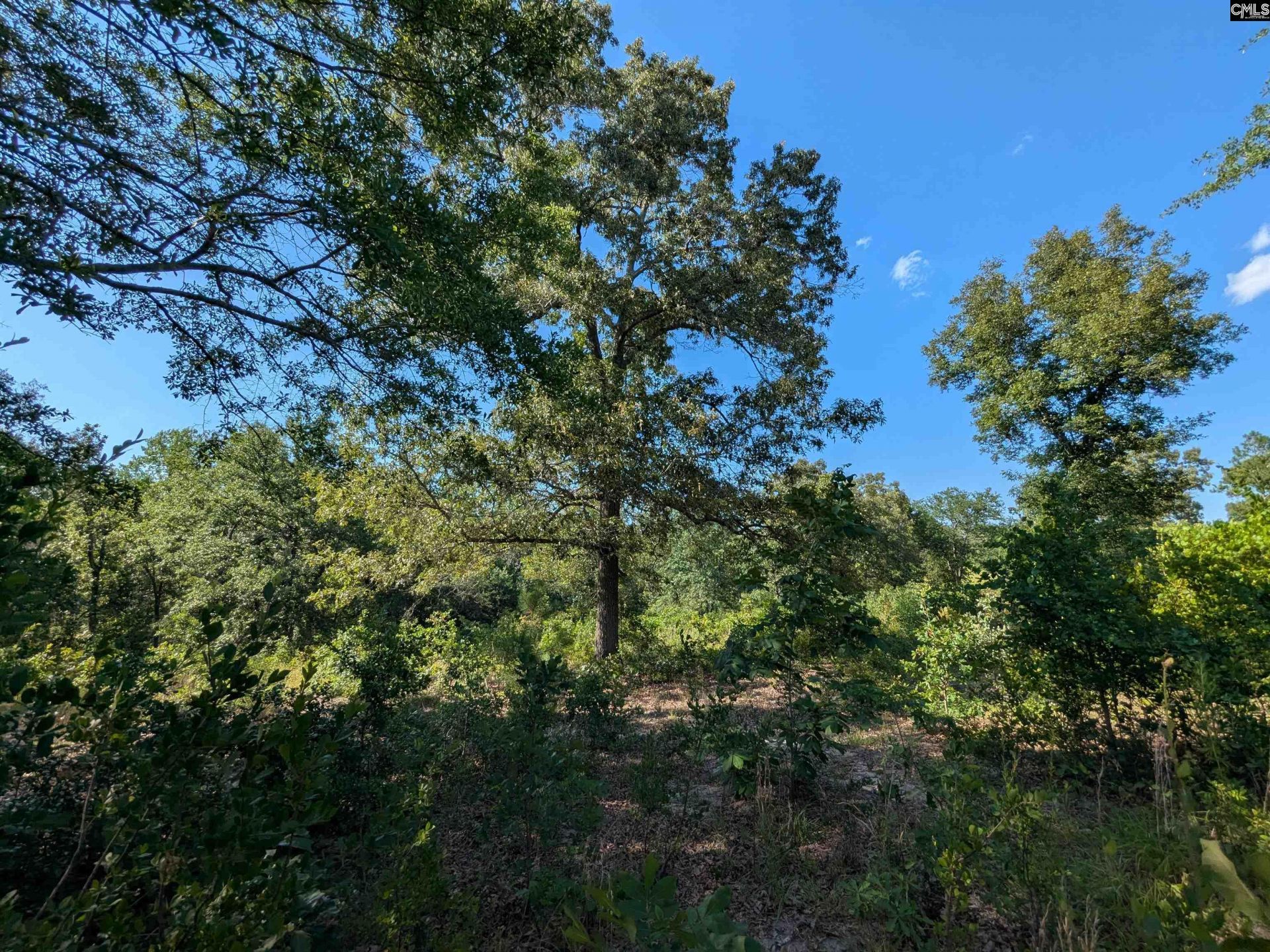Hound Hollow Road Photo 10
