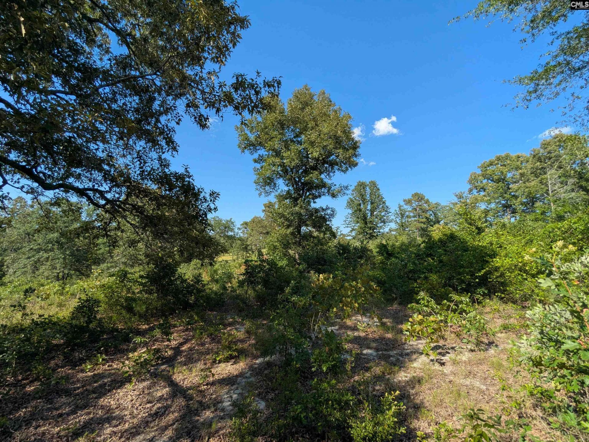 Hound Hollow Road Photo 11