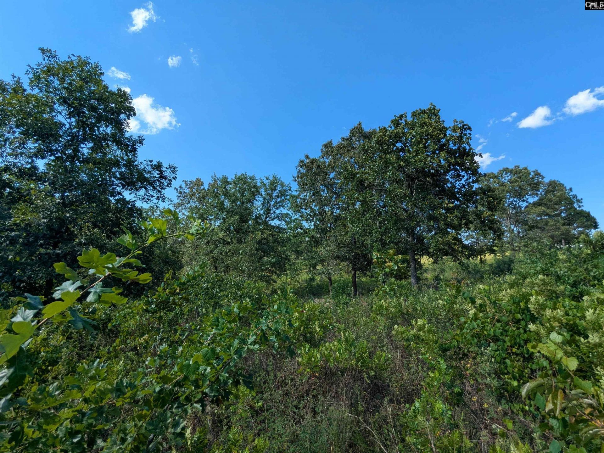 Hound Hollow Road Photo 12