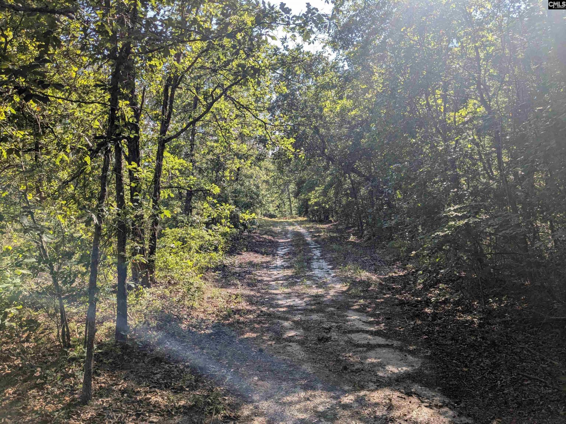 Hound Hollow Road Photo 13