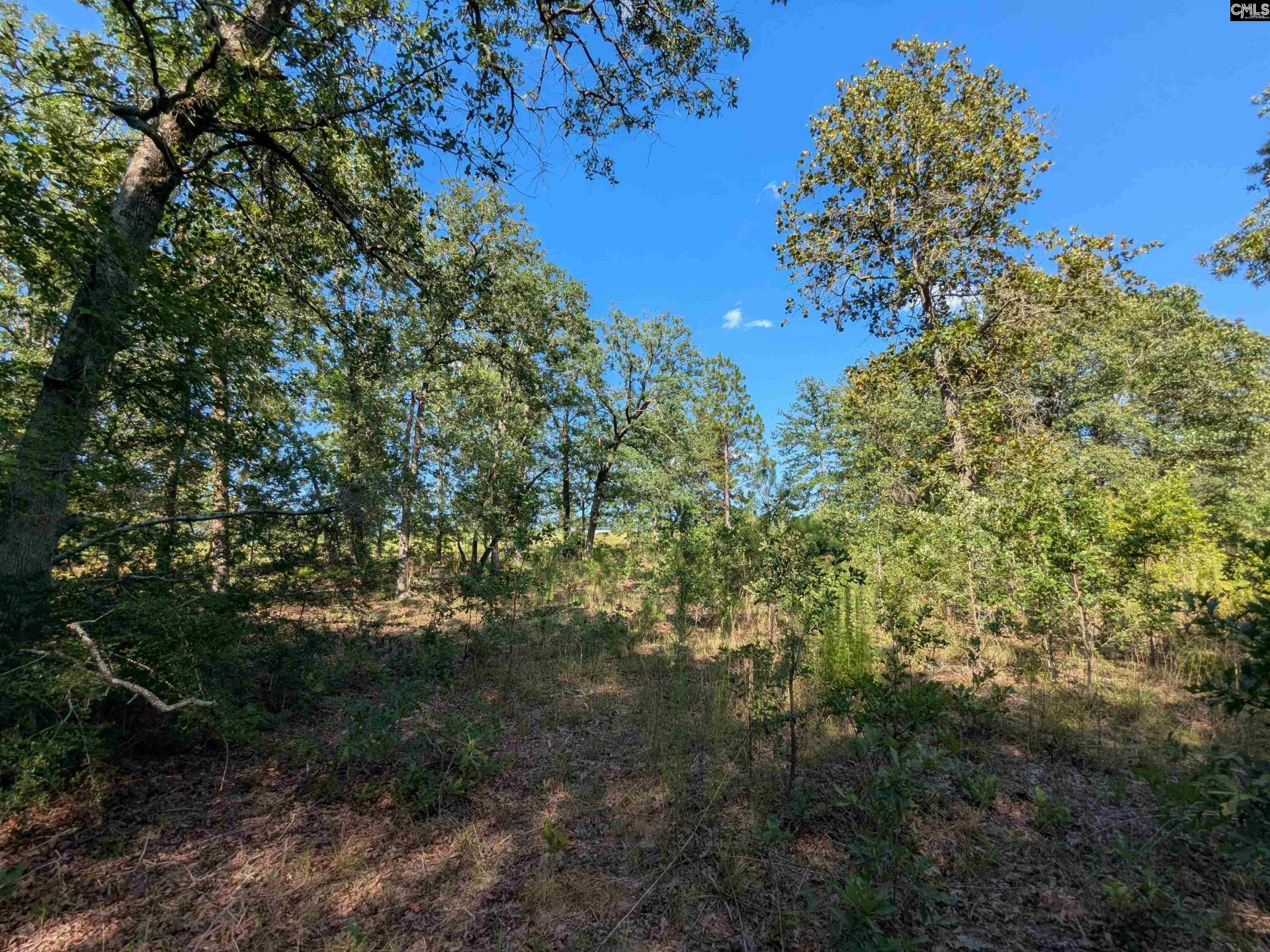 Hound Hollow Road Photo 14