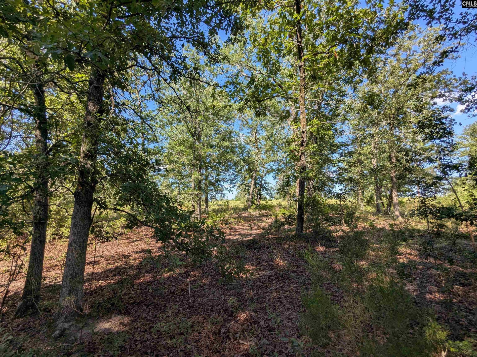Hound Hollow Road Photo 15