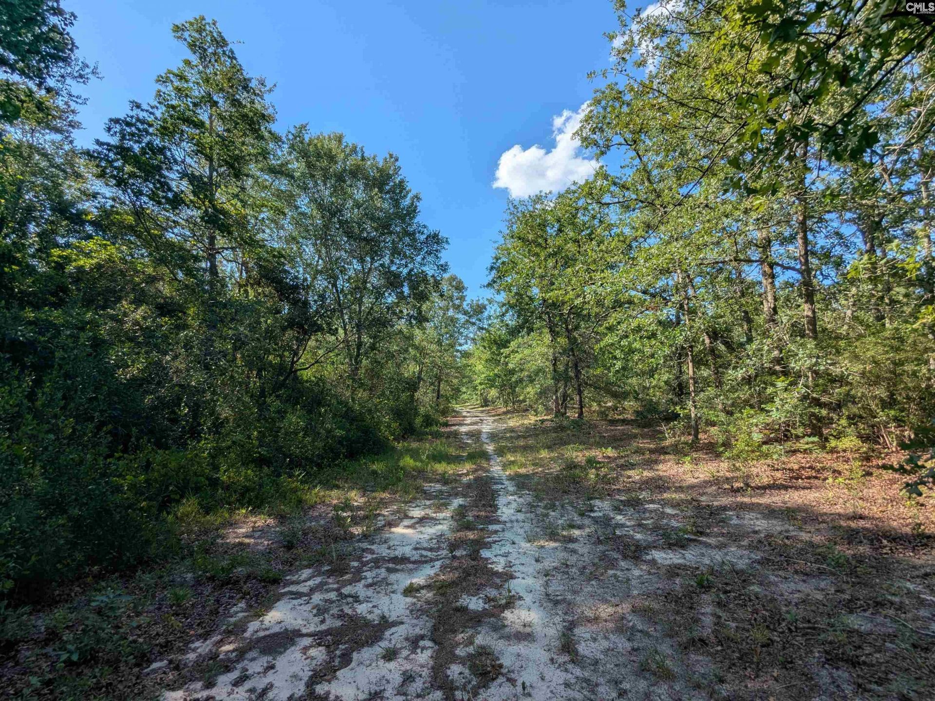 Hound Hollow Road Photo 16