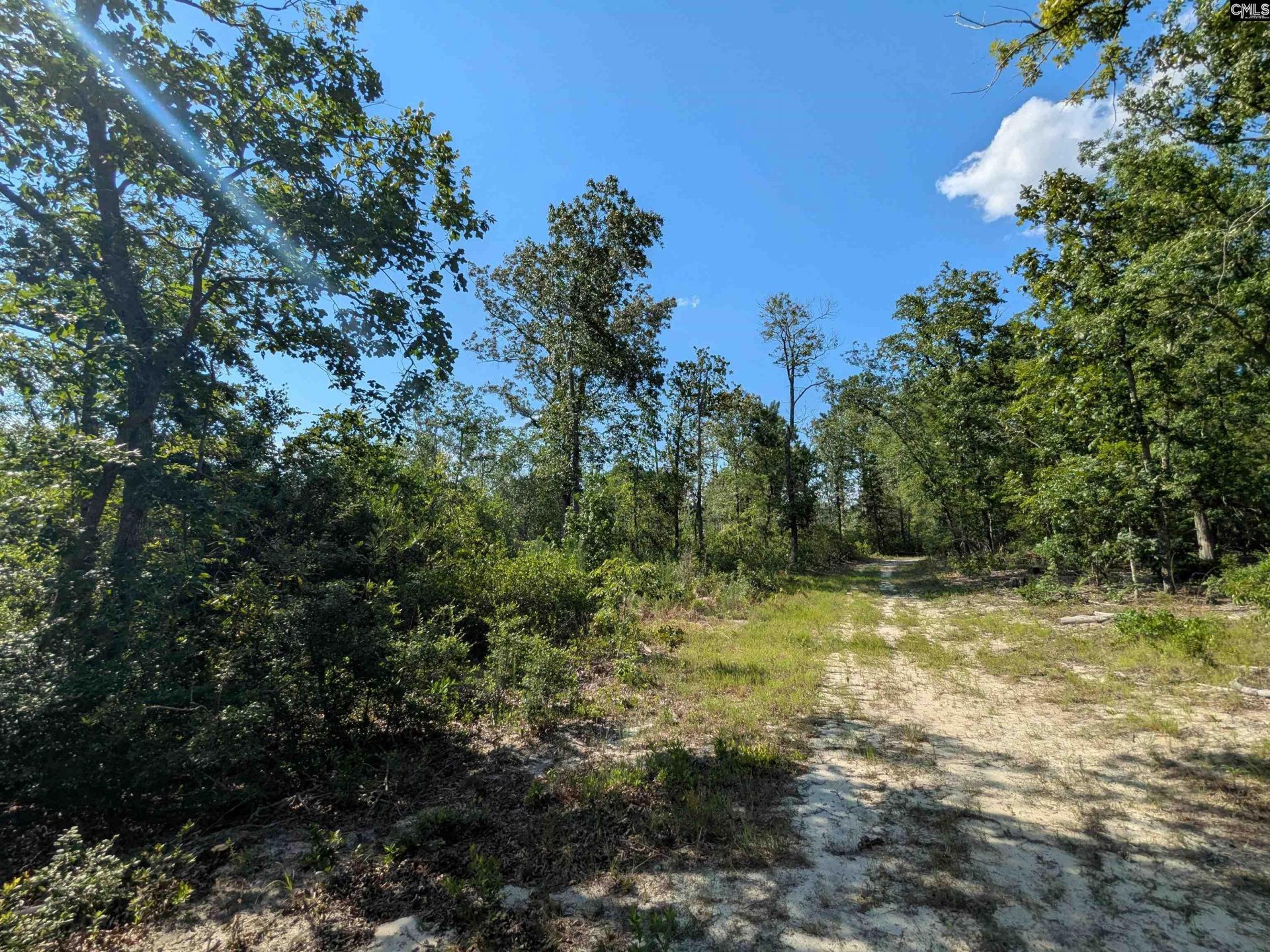 Hound Hollow Road Photo 17